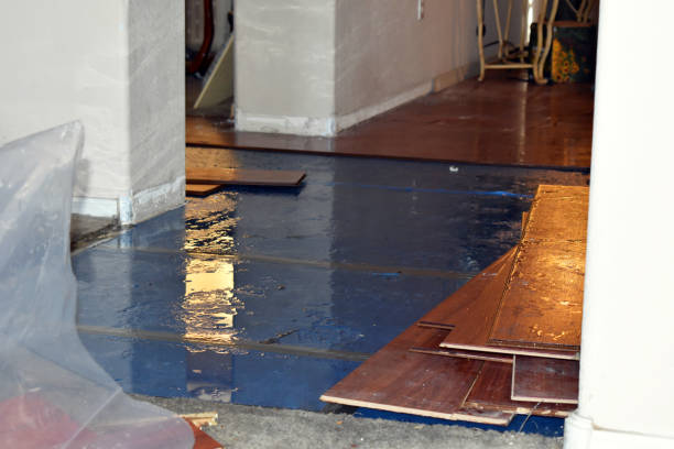 Professional Flood Damage Repair technician working in Spartansburg, PA